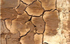 Ленточный фундамент на глинистой почве: особенности и технология возведения